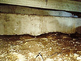 detached 富山県魚津市北鬼江320 サワサキビル　1階　A号室