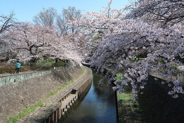 detached 東京都渋谷区渋谷１丁目3-15 BIZCORE渋谷7階