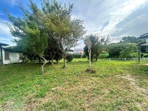 detached 東京都豊島区池袋２丁目54-14 東拓ビル