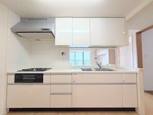 apartment 埼玉県入間市大字下藤沢1317-1 ヨークマート入間1階