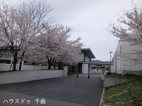 detached 長野県千曲市大字桜堂359-1 コートハウス1F