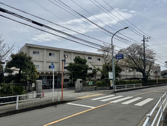 detached 神奈川県厚木市田村町8-8 柳田ビル1階