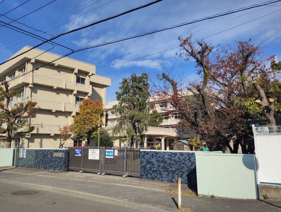 apartment 神奈川県厚木市田村町8-8 柳田ビル1階