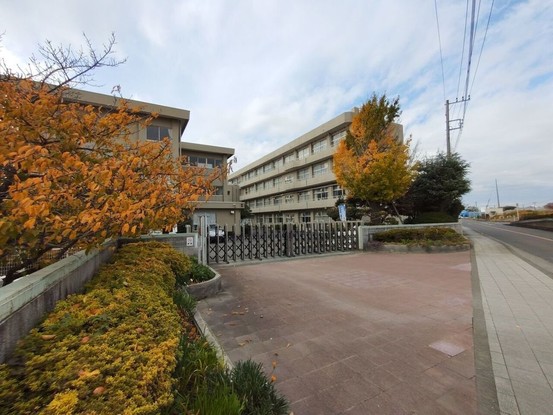 apartment 神奈川県厚木市田村町8-8 柳田ビル1階