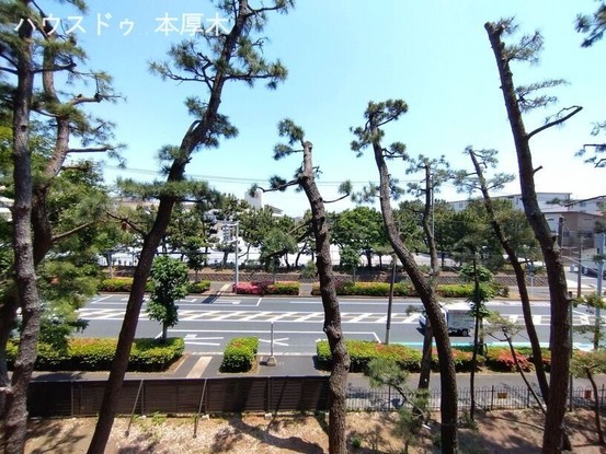 apartment 神奈川県厚木市田村町8-8 柳田ビル1階