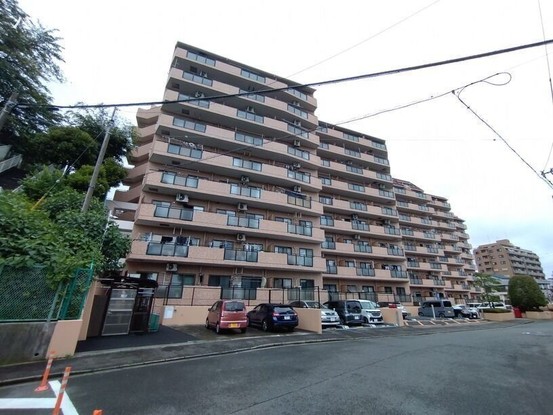 apartment 神奈川県厚木市田村町8-8 柳田ビル1階