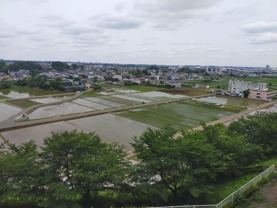apartment 神奈川県厚木市田村町8-8 柳田ビル1階