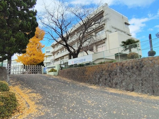 apartment 神奈川県厚木市田村町8-8 柳田ビル1階