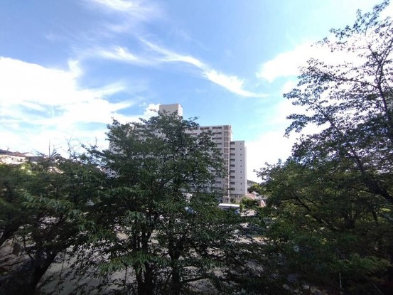 apartment 神奈川県厚木市田村町8-8 柳田ビル1階