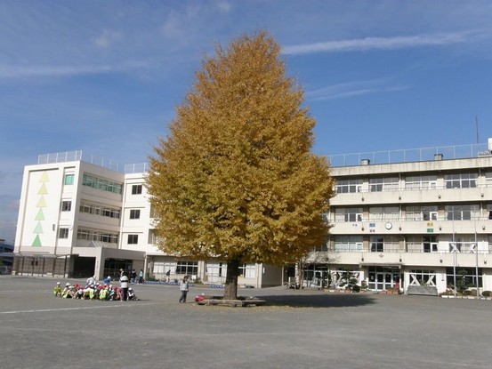apartment 神奈川県厚木市田村町8-8 柳田ビル1階