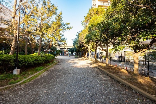 apartment 東京都葛飾区新小岩１丁目51－18 第二クレールパル　1F