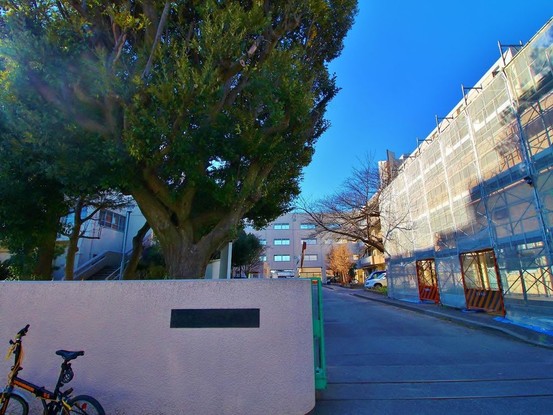 apartment 東京都葛飾区新小岩１丁目51－18 第二クレールパル　1F