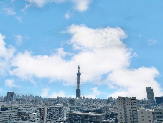 apartment 東京都葛飾区新小岩１丁目51－18 第二クレールパル　1F