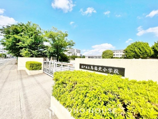 apartment 東京都葛飾区新小岩１丁目51－18 第二クレールパル　1F