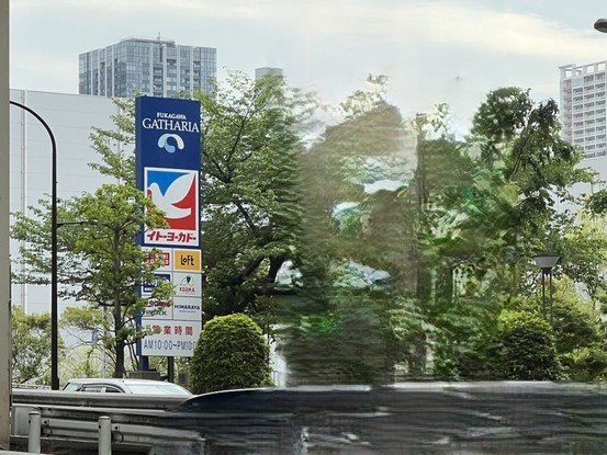 detached 東京都葛飾区新小岩１丁目51－18 第二クレールパル　1F