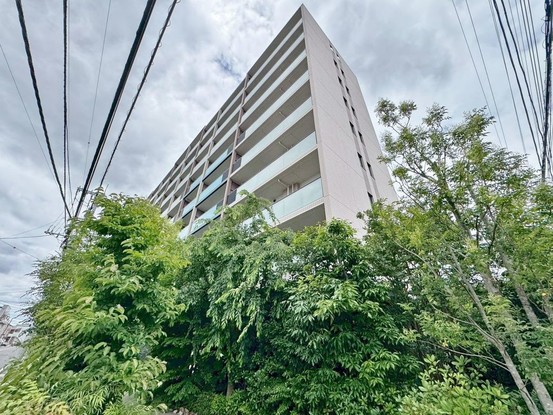 apartment 東京都葛飾区新小岩１丁目51－18 第二クレールパル　1F