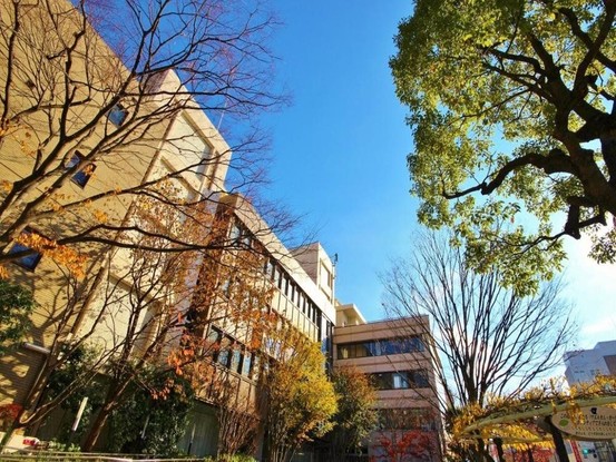 townhouse 東京都葛飾区新小岩１丁目51－18 第二クレールパル　1F