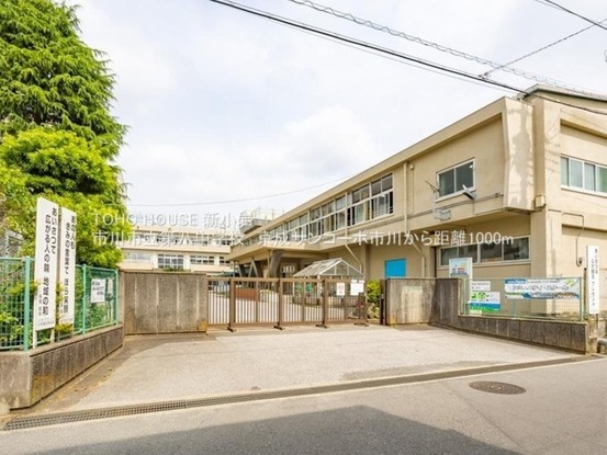 apartment 東京都葛飾区新小岩１丁目51－18 第二クレールパル　1F