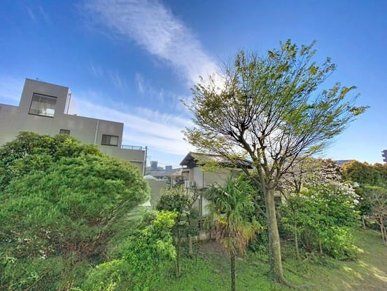 apartment 東京都葛飾区新小岩１丁目51－18 第二クレールパル　1F