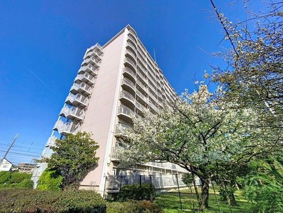apartment 東京都葛飾区新小岩１丁目51－18 第二クレールパル　1F