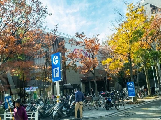 apartment 東京都葛飾区新小岩１丁目51－18 第二クレールパル　1F
