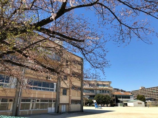 apartment 東京都葛飾区新小岩１丁目51－18 第二クレールパル　1F