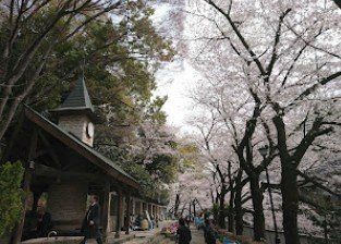 apartment 東京都葛飾区新小岩１丁目51－18 第二クレールパル　1F