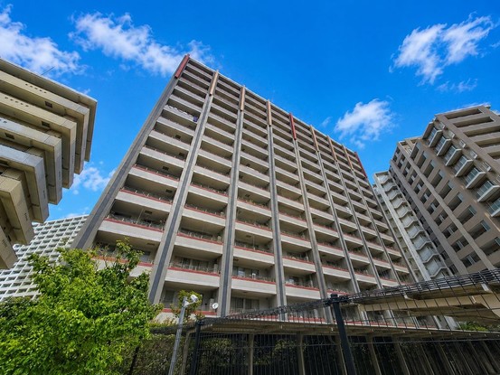 apartment 東京都葛飾区新小岩１丁目51－18 第二クレールパル　1F