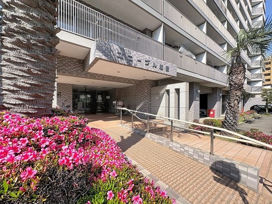 apartment 東京都葛飾区新小岩１丁目51－18 第二クレールパル　1F
