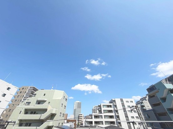 townhouse 東京都葛飾区新小岩１丁目51－18 第二クレールパル　1F