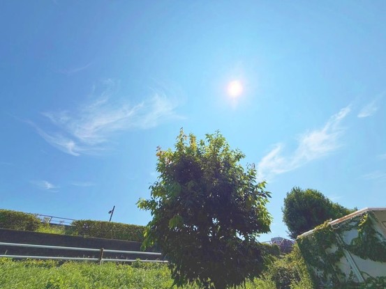apartment 東京都葛飾区新小岩１丁目51－18 第二クレールパル　1F