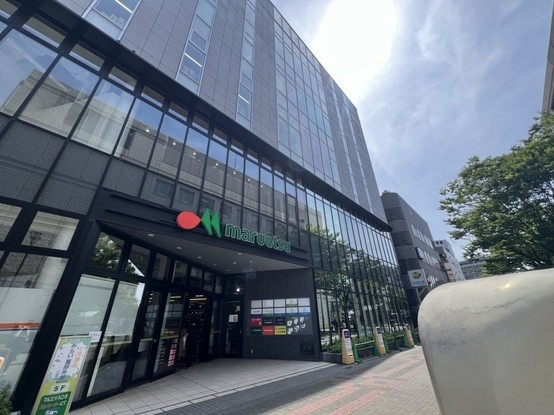 apartment 東京都葛飾区新小岩１丁目51－18 第二クレールパル　1F