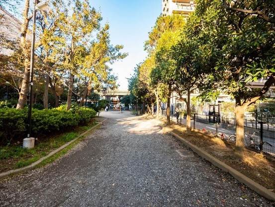 apartment 東京都葛飾区新小岩１丁目51－18 第二クレールパル　1F
