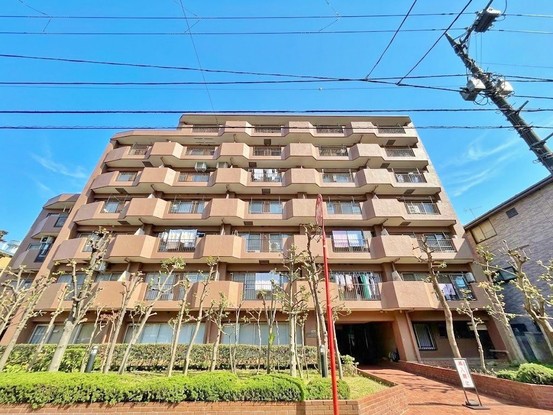 apartment 東京都葛飾区新小岩１丁目51－18 第二クレールパル　1F