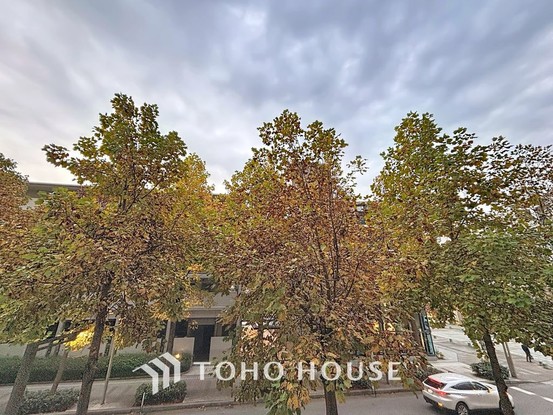 apartment 東京都葛飾区新小岩１丁目51－18 第二クレールパル　1F