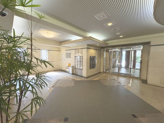 apartment 東京都葛飾区新小岩１丁目51－18 第二クレールパル　1F