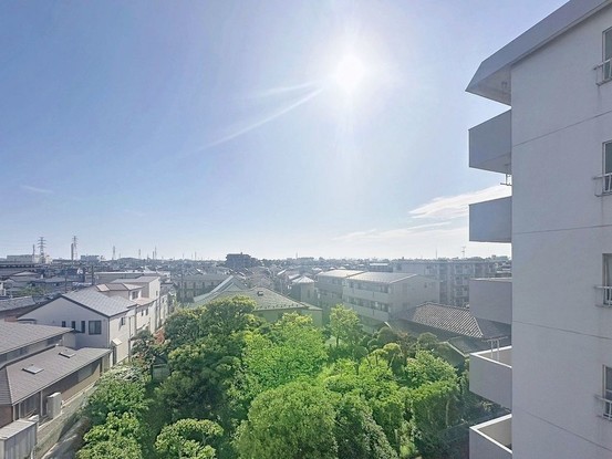 apartment 東京都葛飾区新小岩１丁目51－18 第二クレールパル　1F
