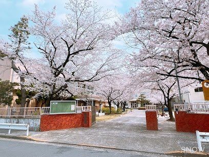apartment 東京都葛飾区新小岩１丁目51－18 第二クレールパル　1F
