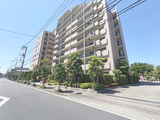 apartment 東京都葛飾区新小岩１丁目51－18 第二クレールパル　1F