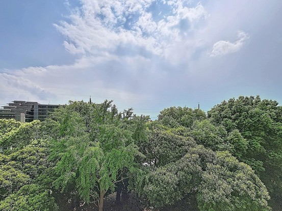 apartment 東京都葛飾区新小岩１丁目51－18 第二クレールパル　1F