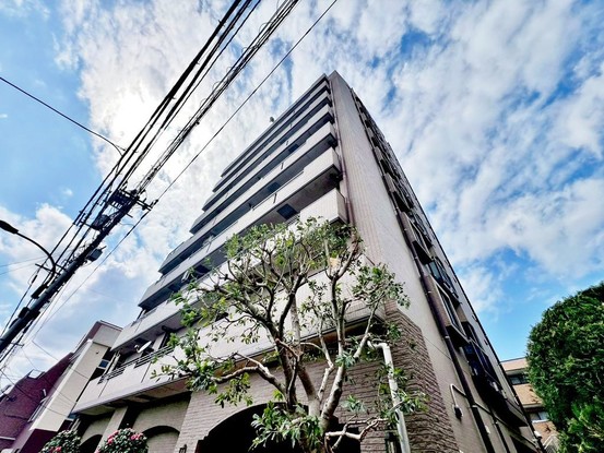 apartment 東京都葛飾区新小岩１丁目51－18 第二クレールパル　1F