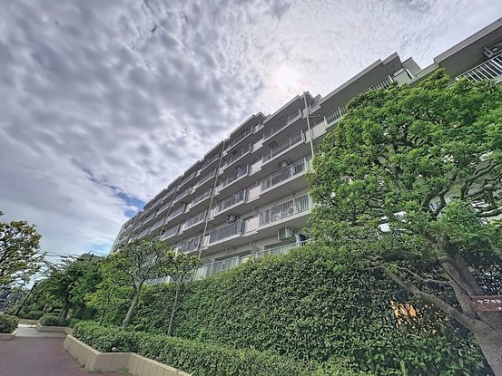 apartment 東京都葛飾区新小岩１丁目51－18 第二クレールパル　1F