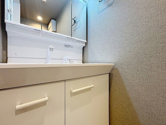 apartment 東京都葛飾区新小岩１丁目51－18 第二クレールパル　1F