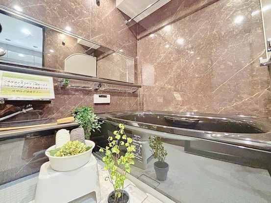 apartment 東京都葛飾区新小岩１丁目51－18 第二クレールパル　1F