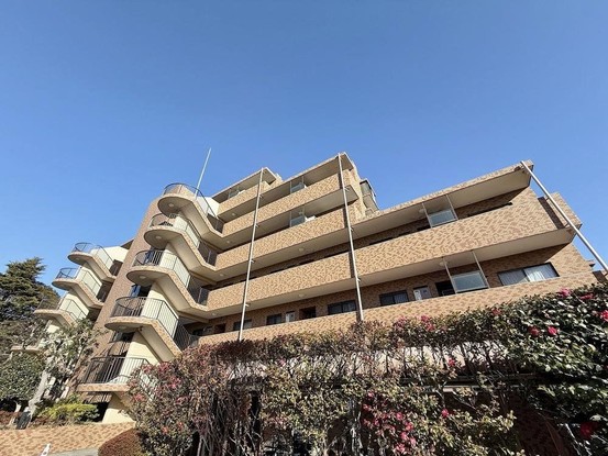 apartment 東京都葛飾区新小岩１丁目51－18 第二クレールパル　1F