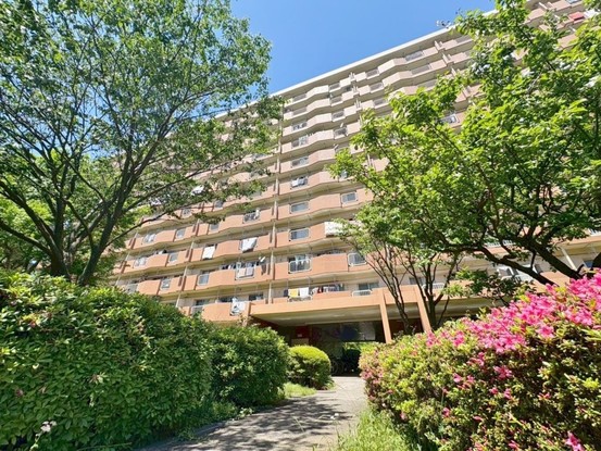 apartment 東京都葛飾区新小岩１丁目51－18 第二クレールパル　1F