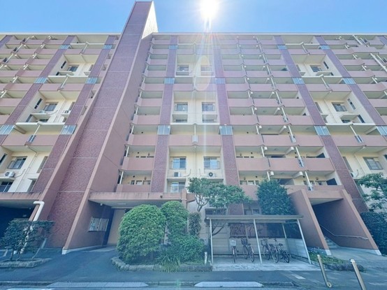 apartment 東京都葛飾区新小岩１丁目51－18 第二クレールパル　1F