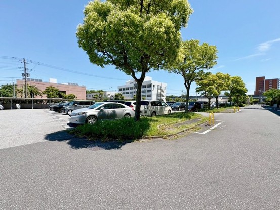 apartment 東京都葛飾区新小岩１丁目51－18 第二クレールパル　1F
