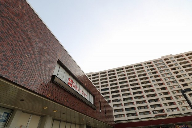 apartment 東京都葛飾区新小岩１丁目51－18 第二クレールパル　1F