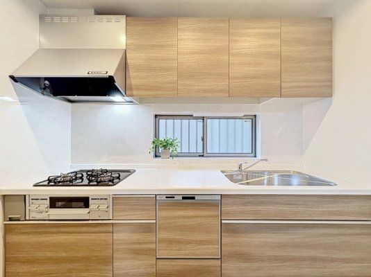townhouse 東京都葛飾区新小岩１丁目51－18 第二クレールパル　1F